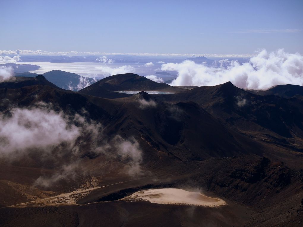 Album - A9 NEW ZEALAND NORTH ISLAND 2