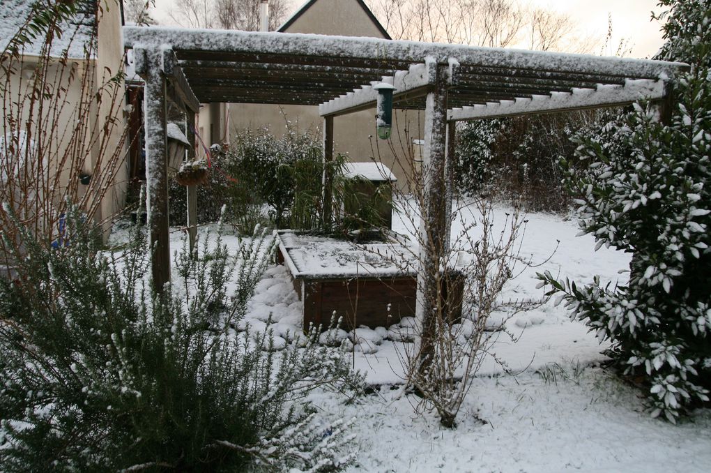 Fin d'année 2009 sous la neige et Noël en Lorraine