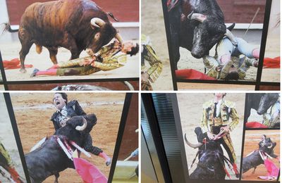 Lettre à un maire dune ville de corridas ayant une école de tauromachie. Tu seras barbare, mon fils. 