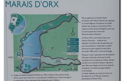 Marais d'Orx