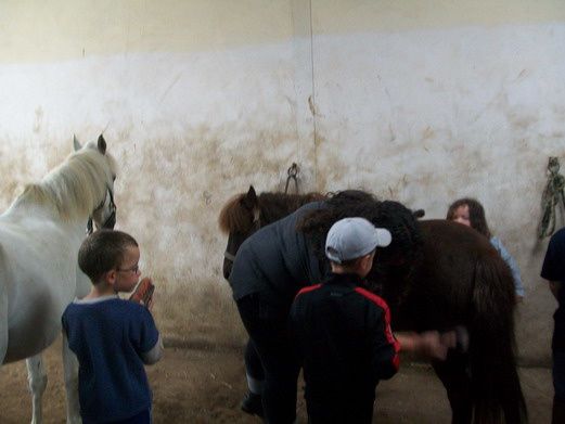 initiation des CP à l'équitation à l'école du Puit des Mèzes - juin 2010