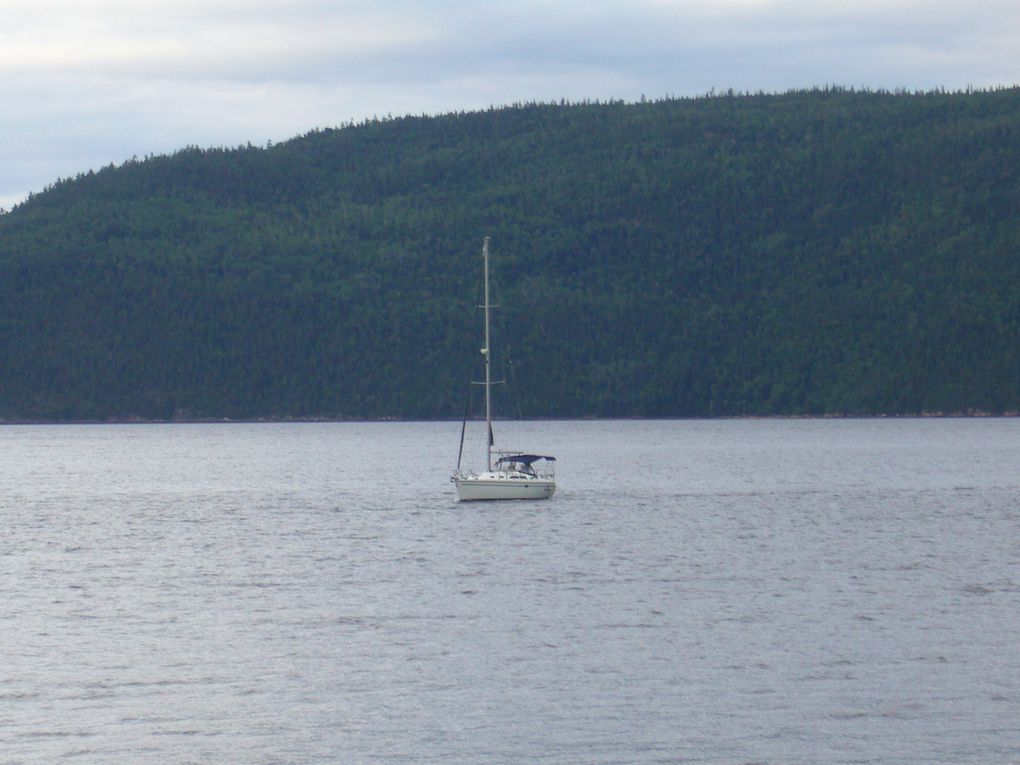 Suite Québec- juillet 2009
