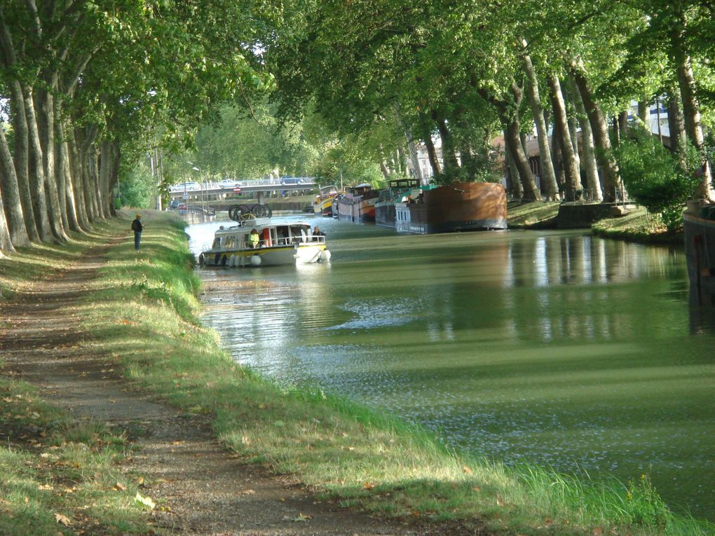 J'ai réalisé ces photos lors de mes promenades, de Béziers via Narbonne jusqu'aux Pyrénées.