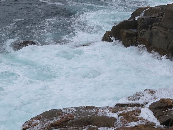 Petite rando dans la lande