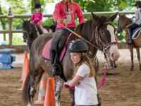 Stage Equitation Comines - 11 Aout