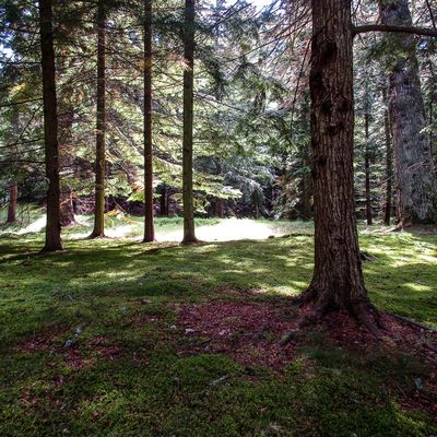 [Photos] Direction Inverness - Acte 2 - Une visite au château.
