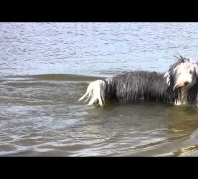 un petit bain par cette chaleur :)