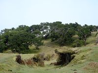MADÈRE (Portugal 🇵🇹)