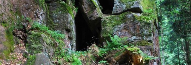 Roches et vestiges militaires en forêt de Vexaincourt   1/2