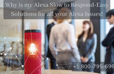 How to Fix Alexa Slow to Respond?