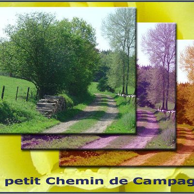 Le Petit Chemin de Campagne - Histoire