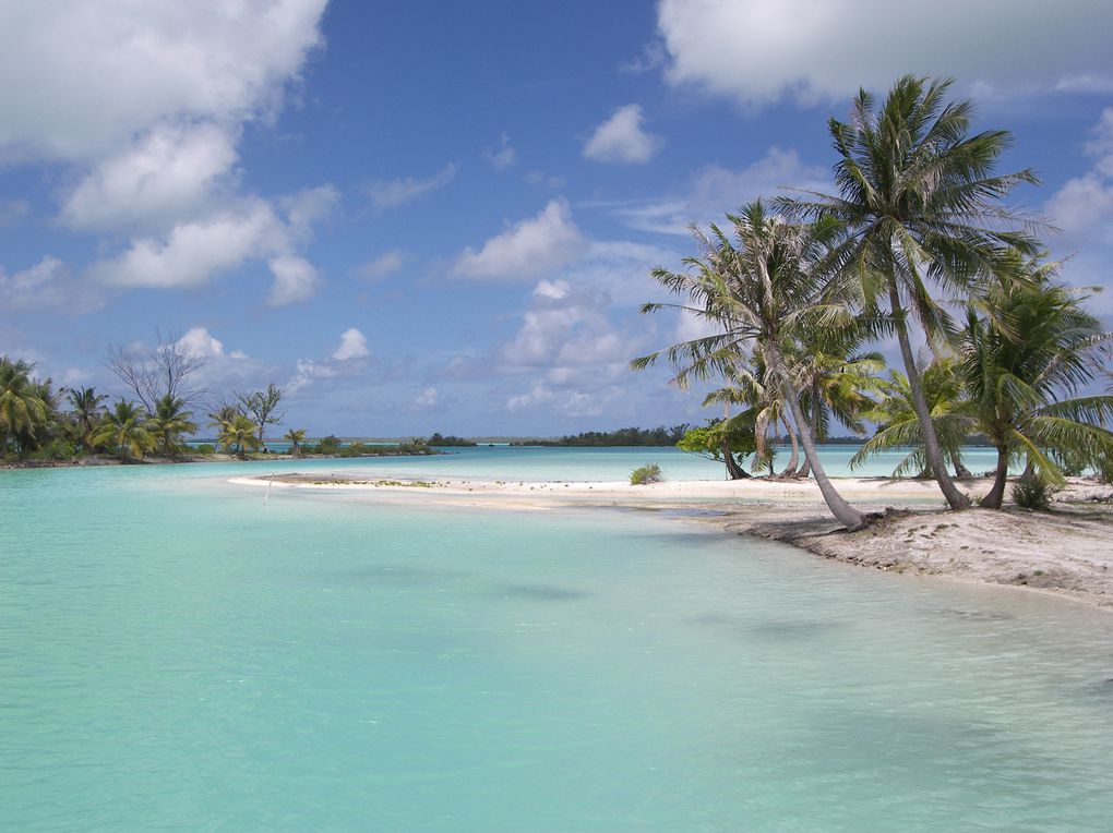 "L'île aux neufs yeux"