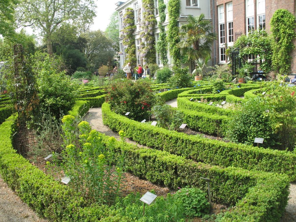 Hortus Botanicus - Amsterdam