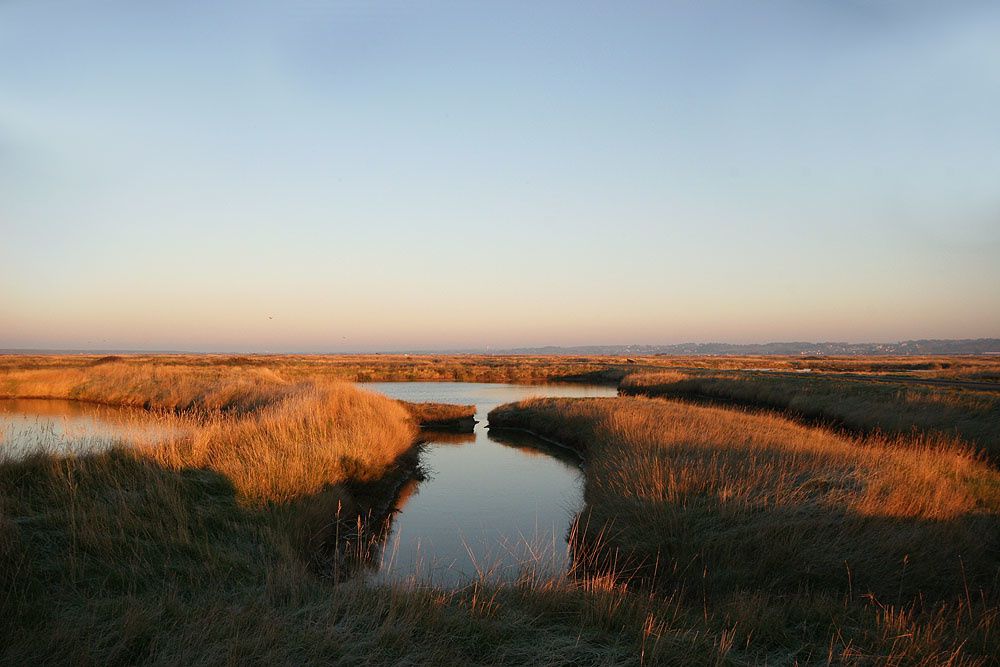 Images des marais salants de Gu&eacute;rande&nbsp;au lever du soleil