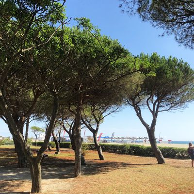 Argelès-sur-Mer dans les PO