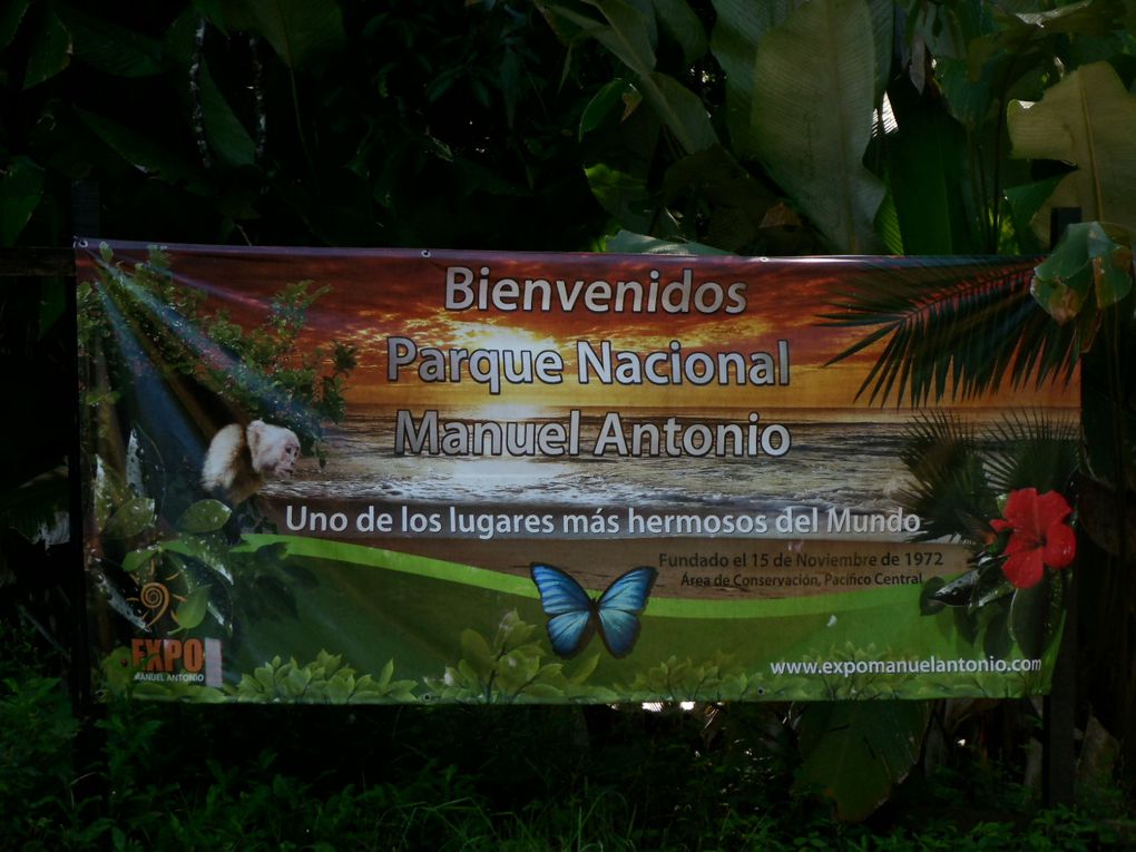Album - 78.-Costa-Rica-2--Puerto-Viejo--Cahuita--Manuel-Antonio