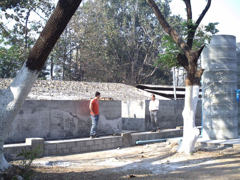 So the Mixing Tanks - bassins and rails are there.
In a few days, the Portico will be finished. 
AND WE START TREATING BAMBOO !!!