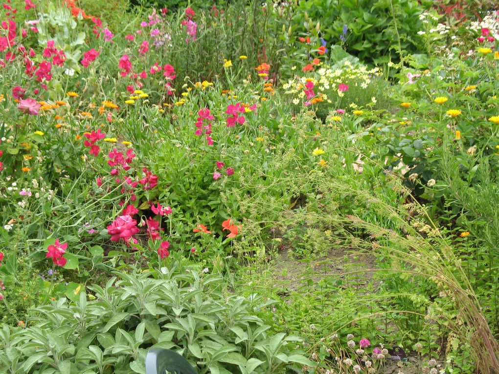 jardin potager et de fleurs, fleurs de montagne et de bord de  mer