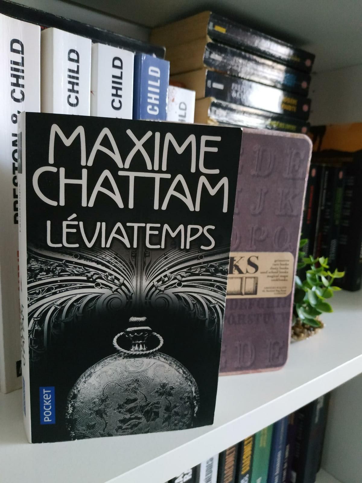 Leviatemps De Maxime Chattam Chez Pocket Editions Les Voyages De Ma Plume