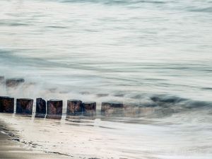 Autour du Cap Ferret : Visions rapprochées