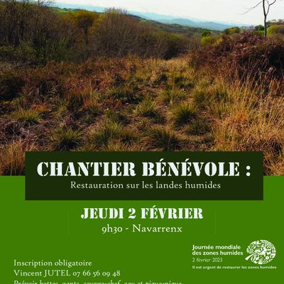 NAVARRENX : Un chantier pour restaurer les landes humides 