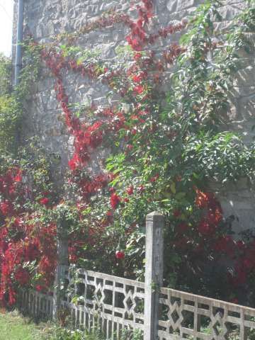 Dimanche 24 septembre