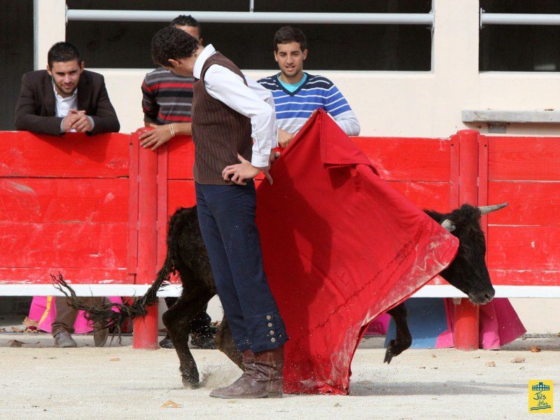 St-Martin-de-Crau Samedi 8 octobre 1011 Journée du Revivre de la Feria de la Crau Tienta de macho et de vacas et Lidia de 4 toros Ganaderias : Giraud-Malaga-Yonnet