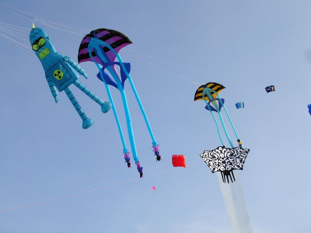 Festival International de cerf-volants
