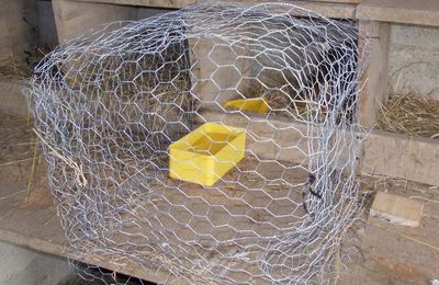 La cage de protection