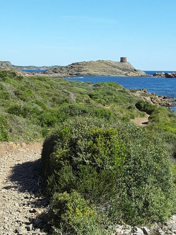 29 avril -  Maó  -  Arenal d'en Castell