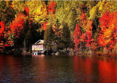 L'automne est là, balayons devant notre porte.....