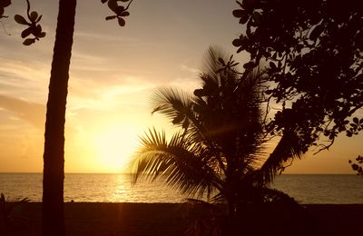 Couchers de soleil en Martinique...
