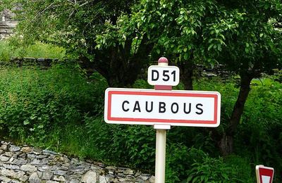 Européennes 2024 à Caubous : 25% chacun pour Aubry, Bellamy, Glucksmann et Deffontaines