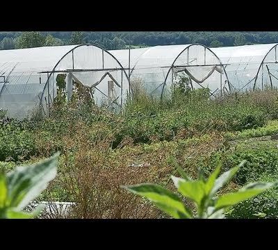 Quelques initiatives remarquables