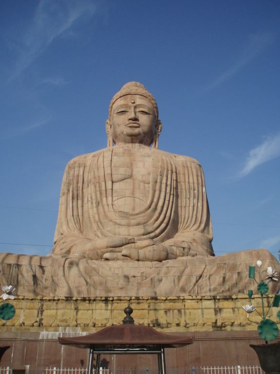 Dans l'ordre : temple bouthan, thailandais, tibétain, japonais, vietnamien, et la grande statue du Bouddha.