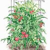 Techniques pour soutenir des plantes de tomate