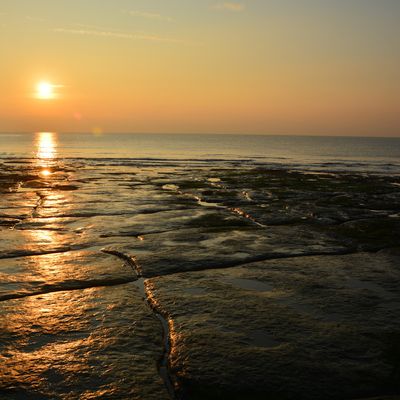 La côte d'Opale: "un bel écartement de collines que la mer emplit comme un vase"