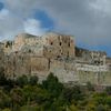 Les fortifications médiévales du Moyen-Orient : Contre les "châteaux croisés"