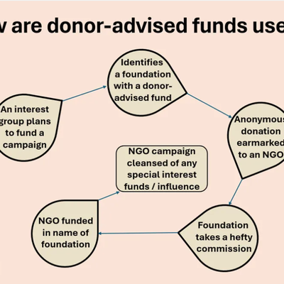 Fonds à vocation arrêtée par les donateurs : comment les groupes d'intérêts particuliers utilisent les fondations pour transférer de l'argent sale