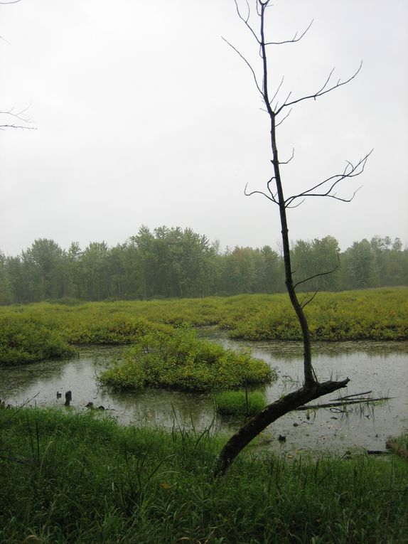 Découverte du lac Simon au nord de St André et balade sur le sentier des Iroquois. Dimanche, les Chutes de Plaisance et le Parc national de Plaisance, au sud de St André