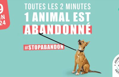 #STOPABANDON - La Journée Mondiale contre l’abandon des animaux de compagnie revient !