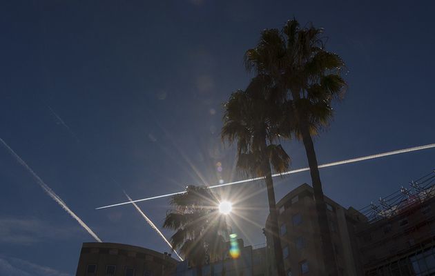 Découvrir le parc Phoenix