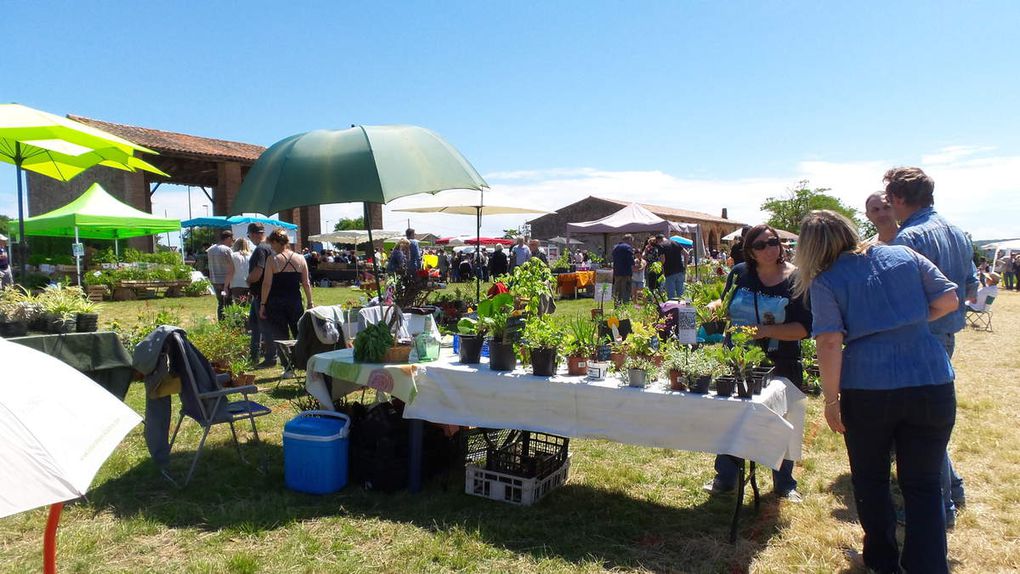 CASTELNAU D'ESTRETEFONDS - REPORTAGE EN IMAGES DU SALON AUTOUR DU JARDIN SUR LE SITE DE L'ESPACE FONDADA