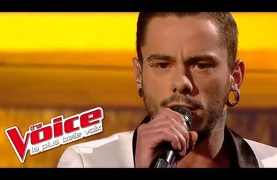 The Voice 2014│Maximilien Philippe - Comme d'habitude (Claude François)