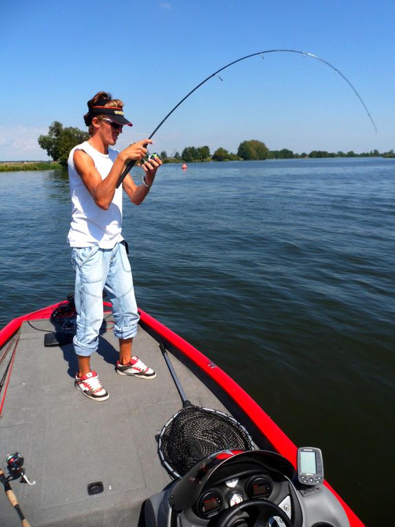 Quelques uns des silures qui nous ont donné du fil à retordre sur du matériel plutot léger ... peu de photos, nous préférons les vidéos pour ce poisson !