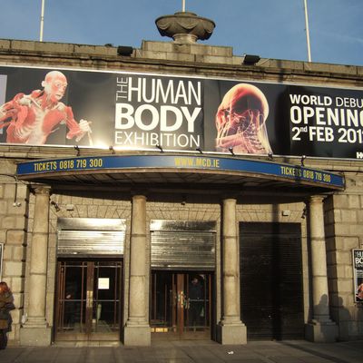 Dublin Jour 6: Human Body Exhibition - Retour