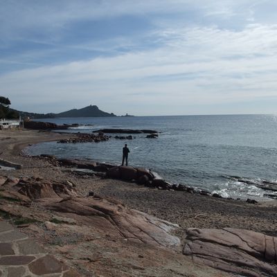 La pêche à Oran - La castagne (castagnole).