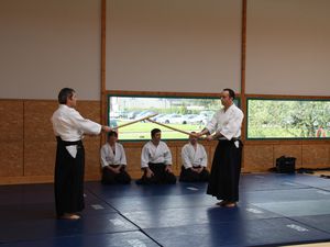 Photos de la démonstration d'Aïkido lors du festival Hanami 2014.