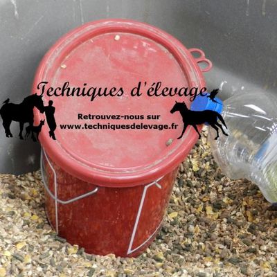 Cheval sujet à des myosites : intérêt de l’alimentation à teneur réduite en amidon