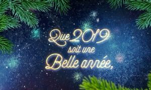 Bonne et heureuse année 2019